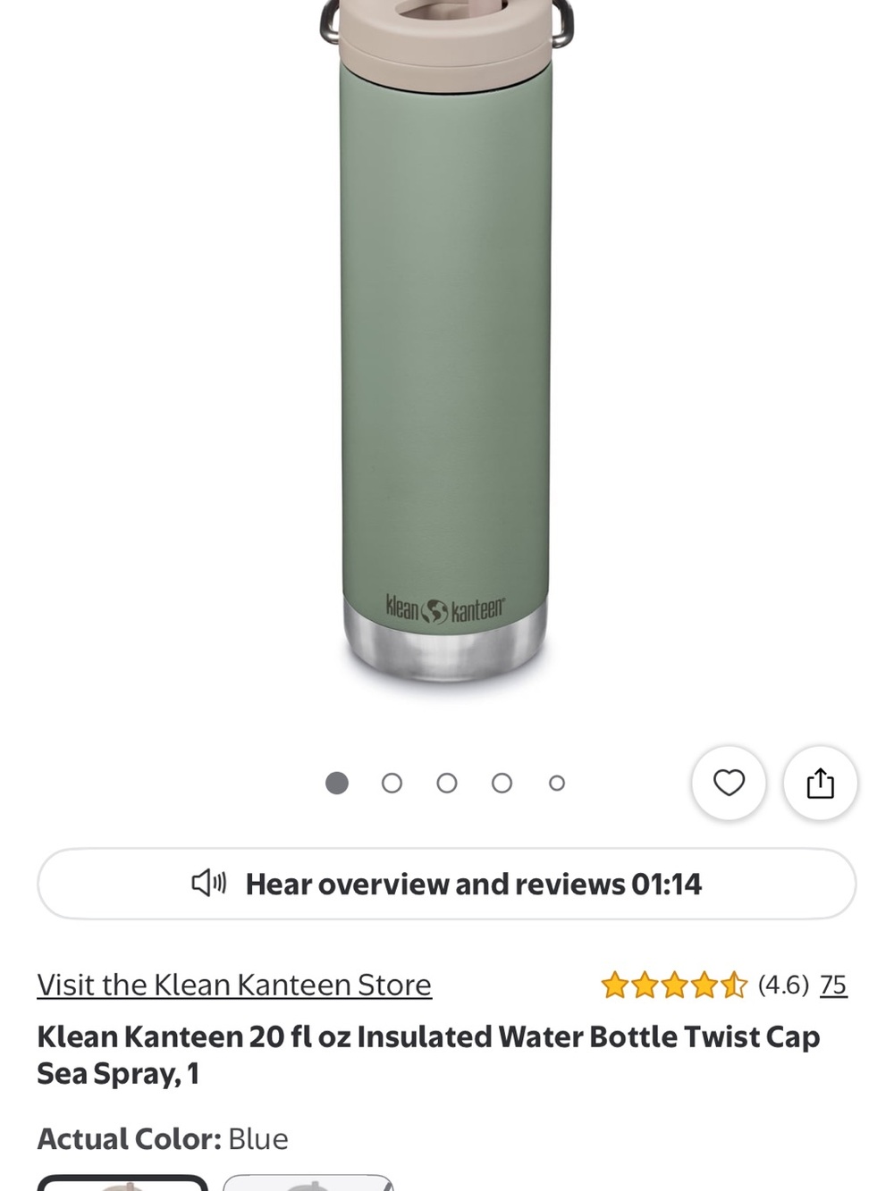 KLean Kanteen Mint Green Insulated Bottle with 20 oz